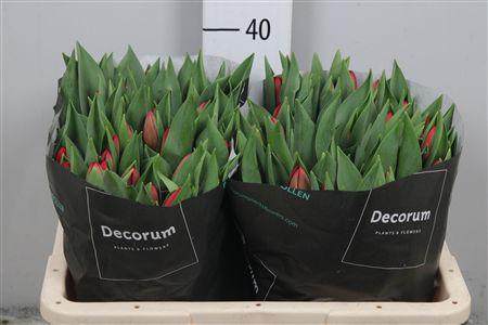 <h4>Tu En Heartbreaker</h4>