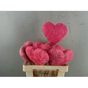 Stick Heart Coco 17cm Pink