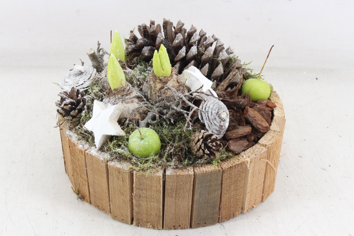 <h4>arr4 Hyacint MB - Hout rond latjes</h4>