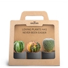 3-Pack Raw Black P7
