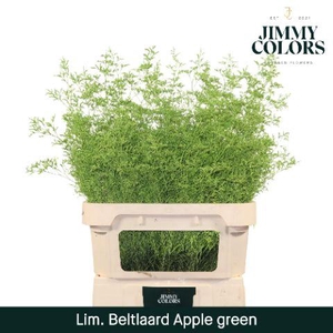 Lim Bel L90 Apple green