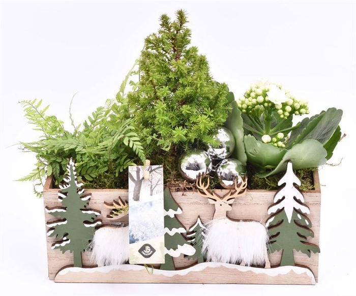 <h4>Hout rechthoek met decor 24x10cm</h4>