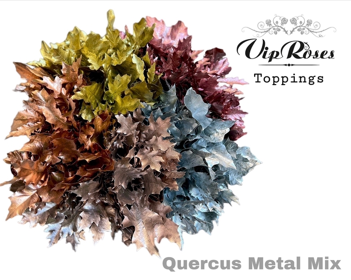 <h4>QUERCUS METAL MIX</h4>