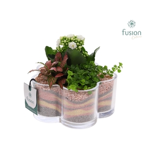 Glazen Bloemschaalmet Arrangement