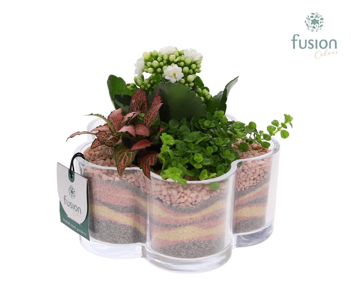 <h4>Glazen Bloemschaalmet Arrangement</h4>