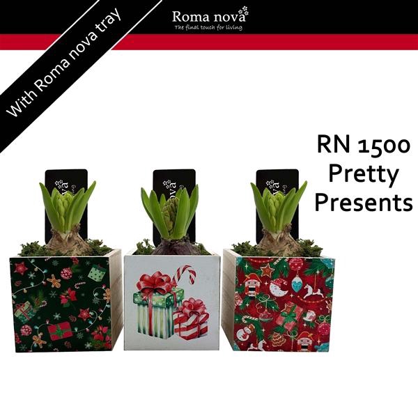 <h4>Arrangementen Hyacinthus 6%</h4>