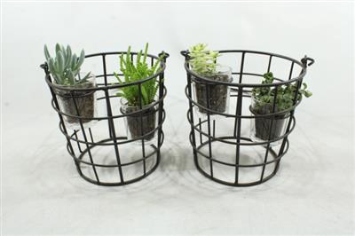 <h4>0962 Korf DUO Succ</h4>