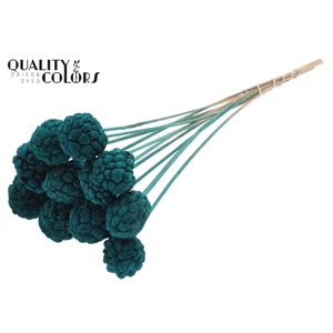 Atta Fruit on stem Intense Turquoise