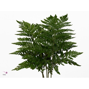 Lederv. Medium X5 Flowpack