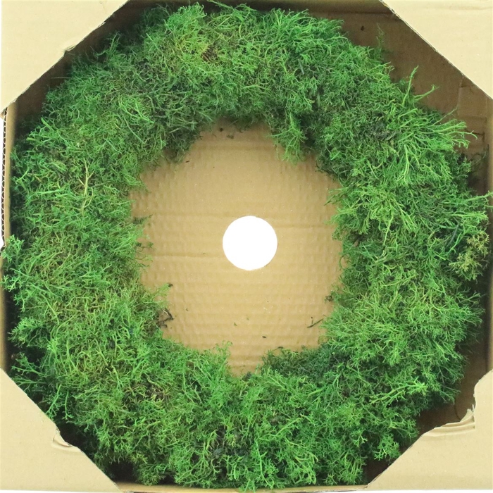 <h4>Wreath Egelmoss Old Green</h4>
