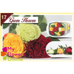 R Gr Rainbow Green Heaven 40cm EC