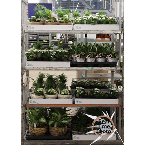 ARR INSIDE MIXTROLLEY