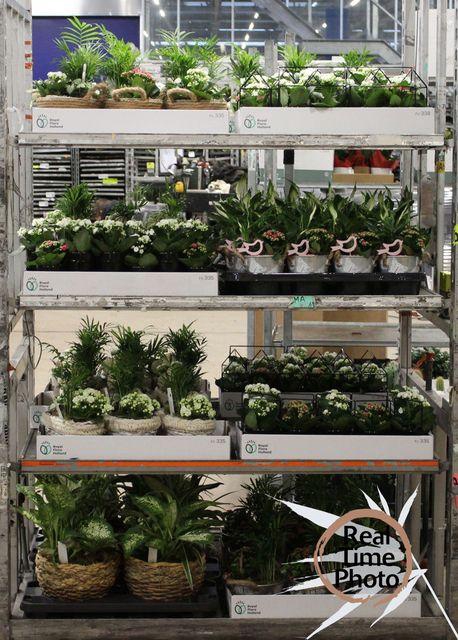 <h4>ARR INSIDE MIXTROLLEY</h4>