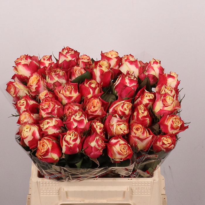 <h4>R GR CHAPEAU</h4>