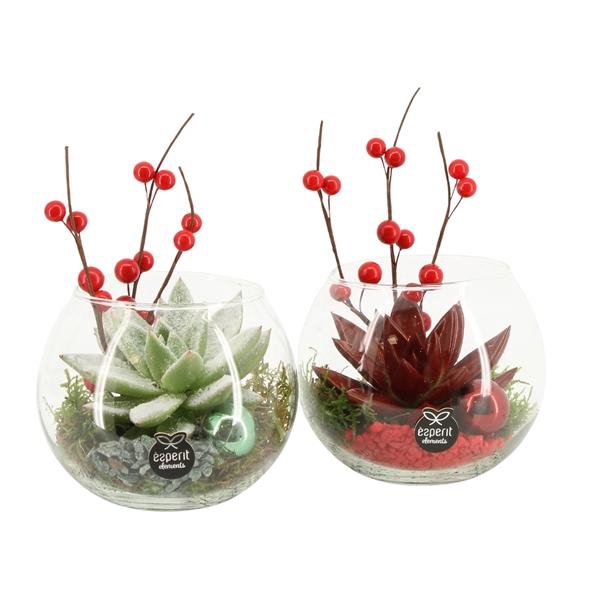 <h4>61570: X-mas arrangement</h4>