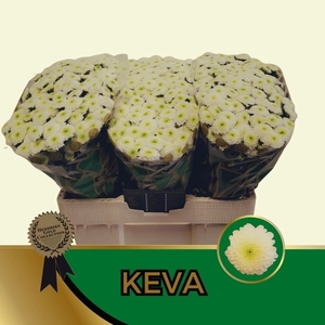 Chr San Keva Hendriks