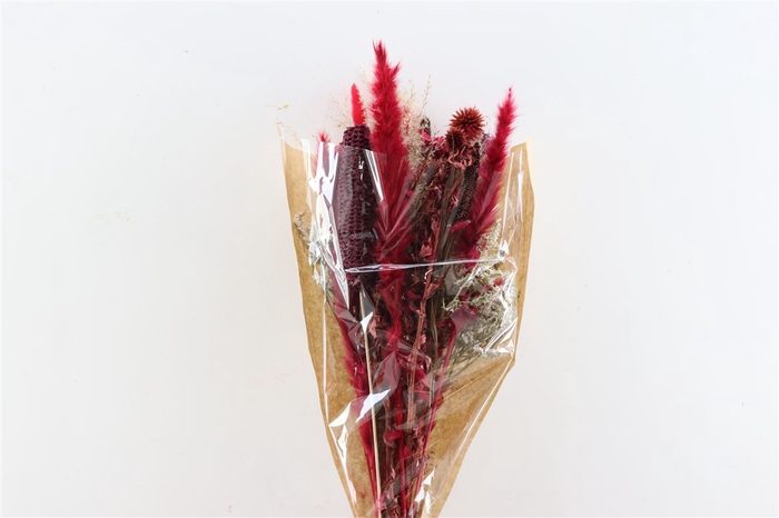 <h4>Dried Bouquet Girona</h4>