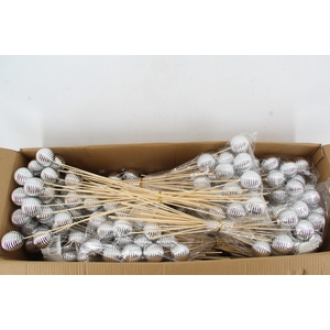 Stick Ball Thread Shiny Ø6 Slv