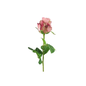 Af Rosa L52cm Roze