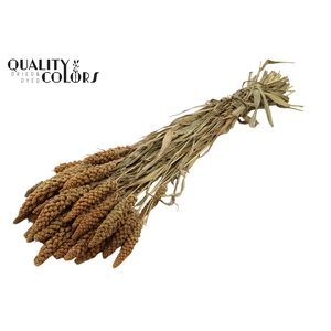 Gierst per bunch Natural