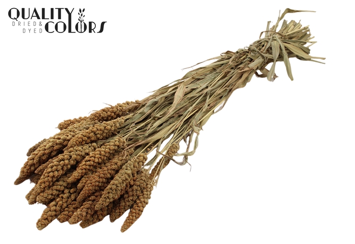 <h4>Gierst per bunch Natural</h4>
