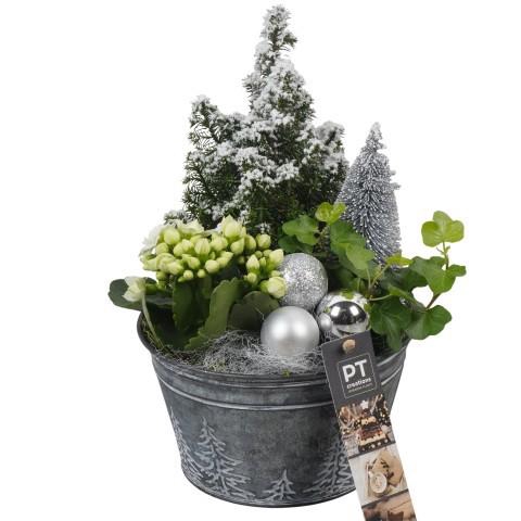 <h4>PTCHW4322 Arrangement Christmas White in metalen pot</h4>