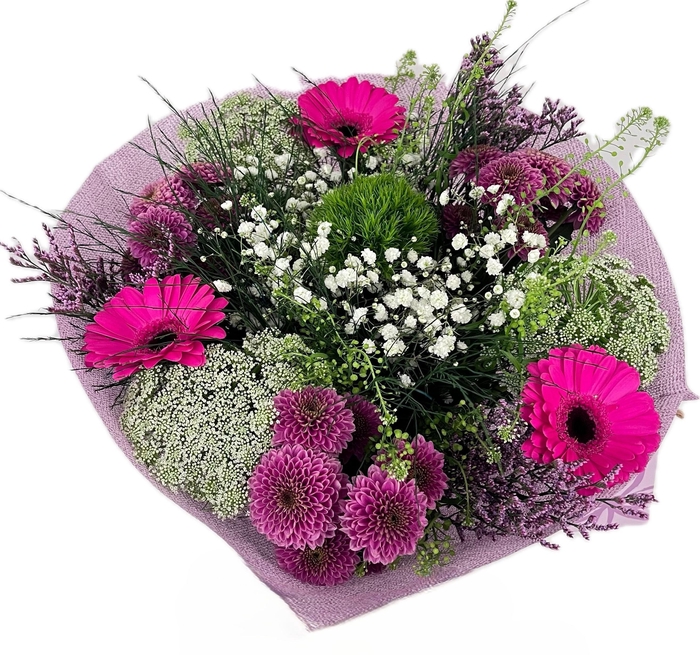 <h4>Bq Serenity purple</h4>