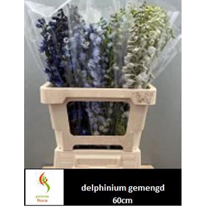 DELPH EN GEM IN FUST