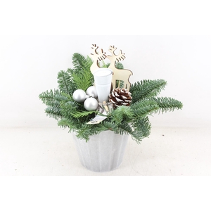 arr5 Kerst JS - Hout pot white x6