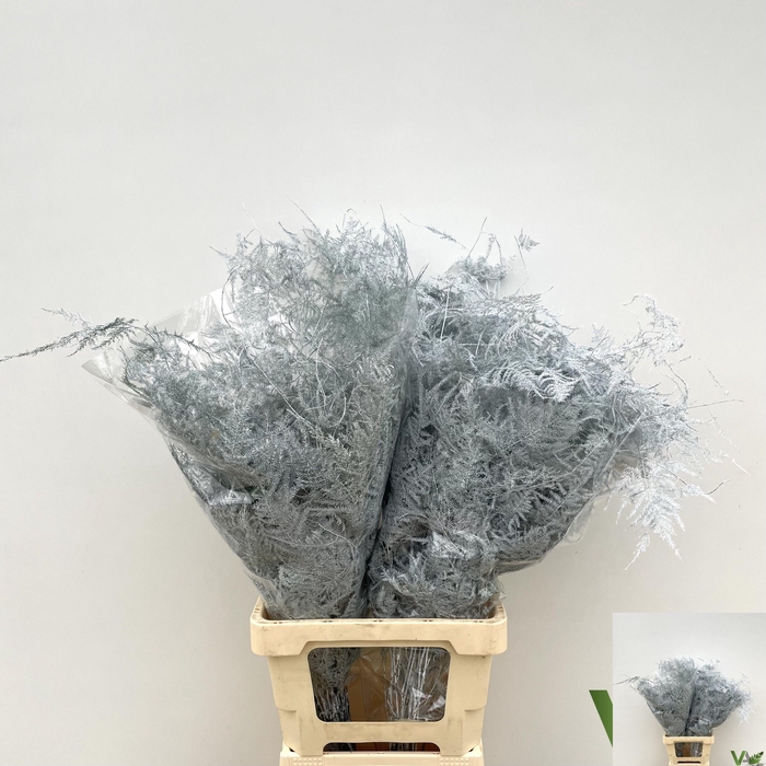 <h4>ASP OV KLB H%</h4>