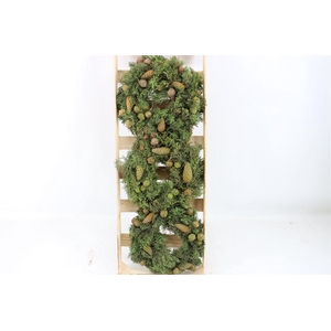 Wr Cypresse Pinecone 30cm