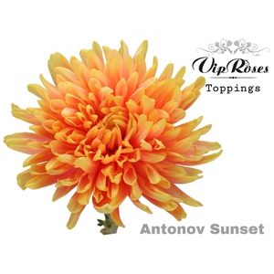 CHR G ANTONOV KLB Sunset