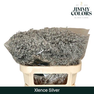 Gyps Xlence l70 Mtlc. Silver