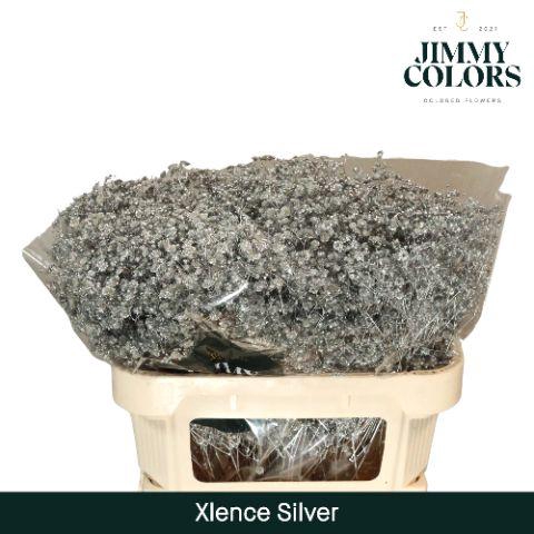 <h4>Gyps Xlence l70 Mtlc. Silver</h4>