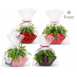 Keramiek Lippen planter met Groen planten