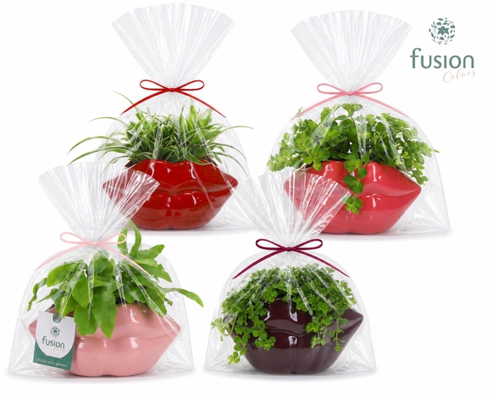 <h4>Keramiek Lippen planter met Groen planten</h4>