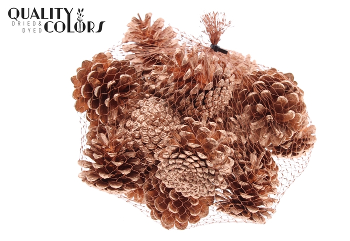 Pine cone 500gr in net Copper