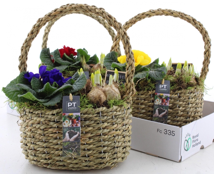 <h4>ARR PL IN SCHAAL</h4>