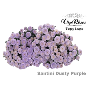 CHR S DUSTY PURPLE