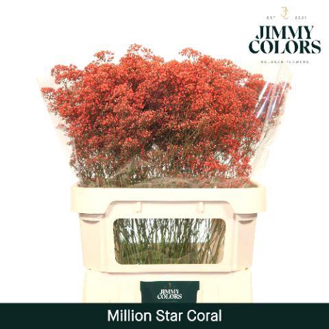 <h4>Gyps Million Star L80 Coral</h4>