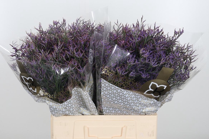 <h4>Lim Saf Pink Sky</h4>