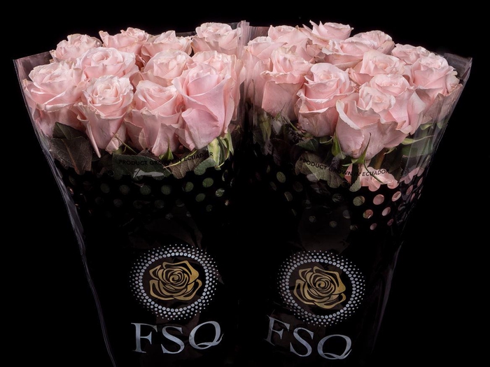 <h4>R GR Sweet Beat</h4>