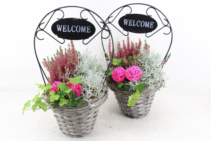 <h4>arr4 Outdoor JS - Mand welcome</h4>