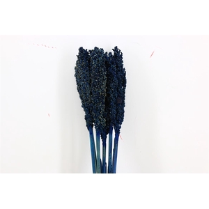 Dried Sorghum 6pc Dark Blue Bunch