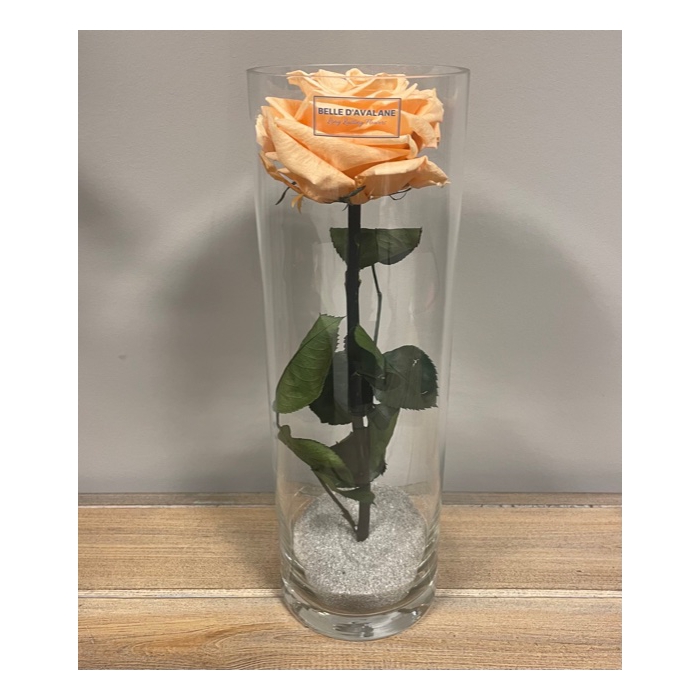 <h4>Cilinder d10x30h perzik glas</h4>