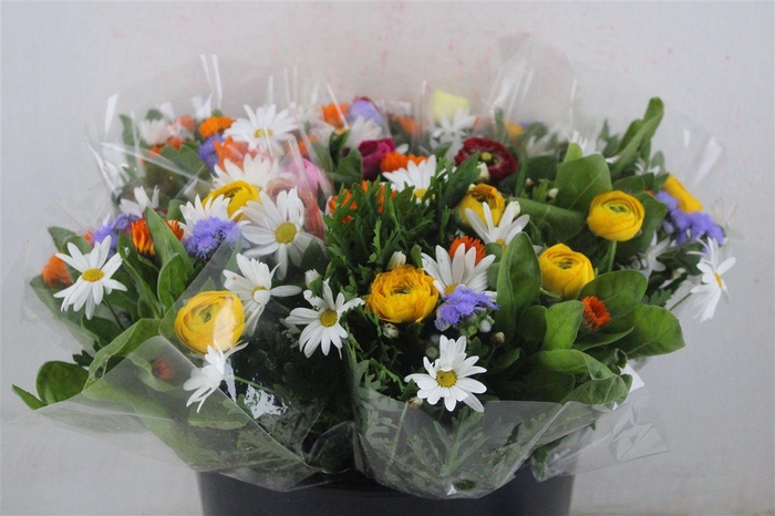 <h4>Boeket Primavera P Bunch</h4>