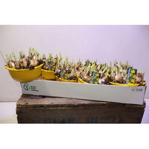 arr8 Narc O Tete A Tete