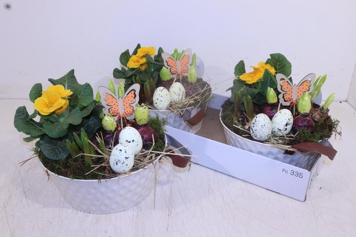 <h4>ARR TUINPLANTEN</h4>