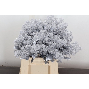 Skim Ov Bs Klb Zilver