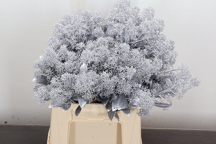 <h4>Skim Ov Bs Klb Zilver</h4>